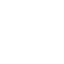 Megatron